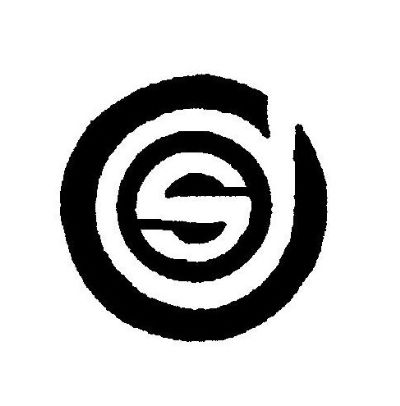 DS Logo